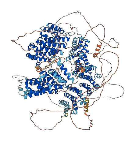CLASP1 3D structure