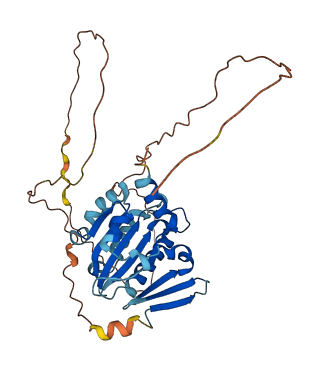 BNIPL 3D structure
