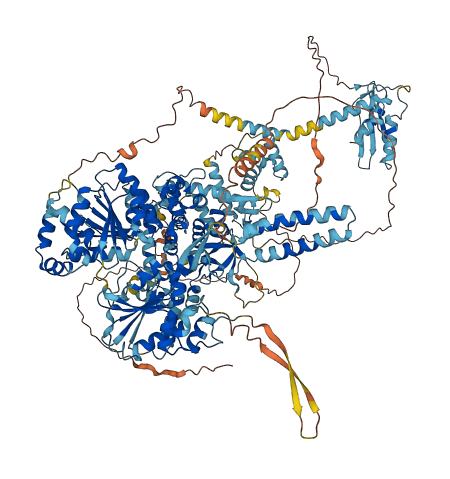 DHX29 3D structure