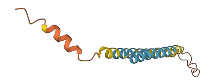 LINC00305 3D structure
