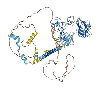 LRP10 3D structure