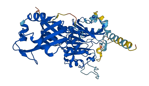TRMT11 3D structure
