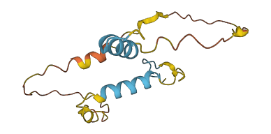 ADM2 3D structure