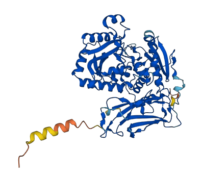 POGLUT3 3D structure