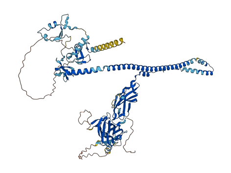 TRIM46 3D structure