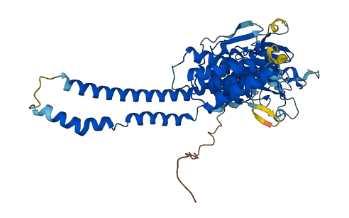 P4HA3 3D structure