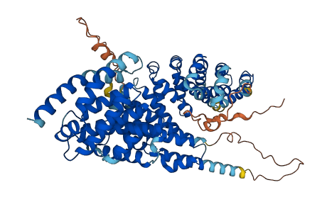 HEATR3 3D structure
