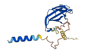 C6orf120 3D structure