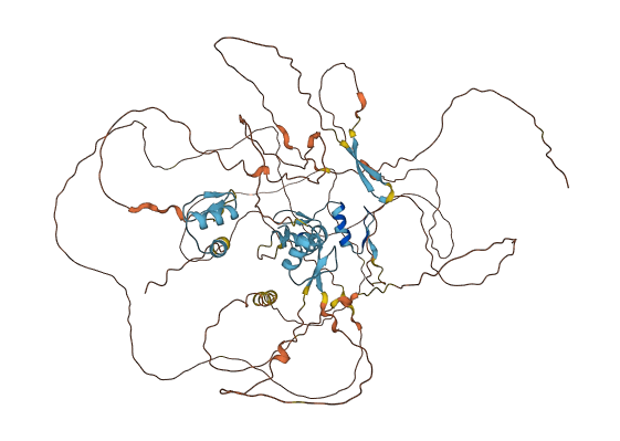ZNF438 3D structure