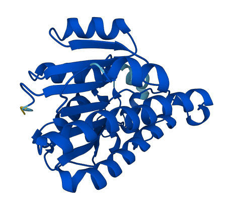 DCXR 3D structure