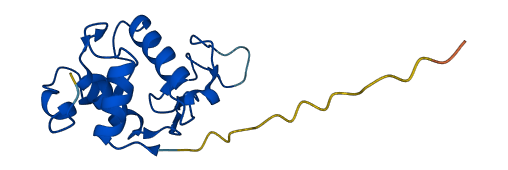 LYZL2 3D structure