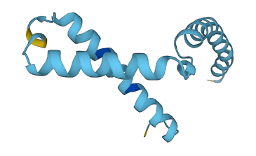 ATP5MGL 3D structure