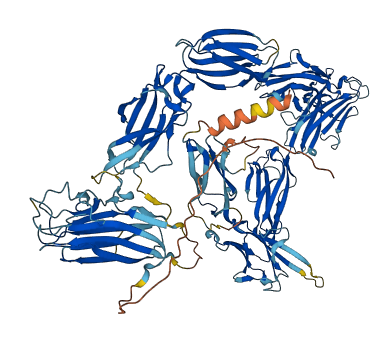 MDGA2 3D structure