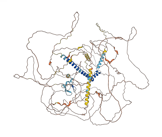 ZNF804A 3D structure