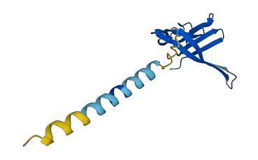 TAFA3 3D structure