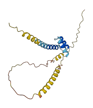 NANOGNB 3D structure