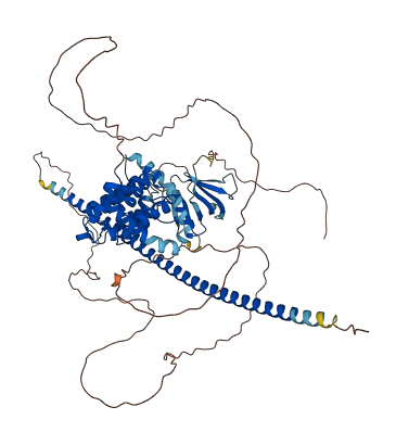 ARHGAP22 3D structure