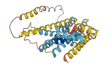 VN1R5 3D structure