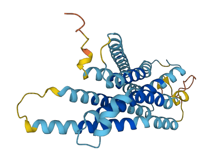 VN1R4 3D structure