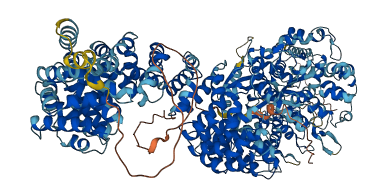 ANKAR 3D structure
