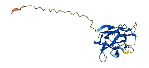 VMO1 3D structure