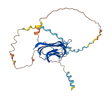 C1QL2 3D structure