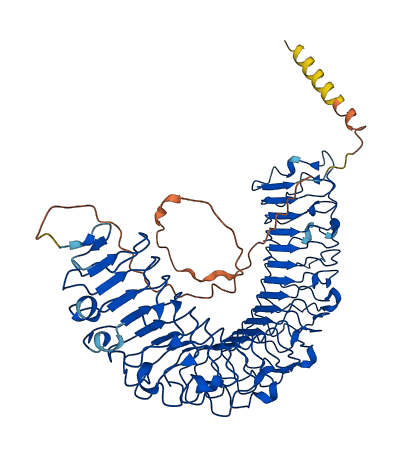 PODN 3D structure