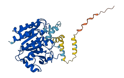 ABHD12B 3D structure