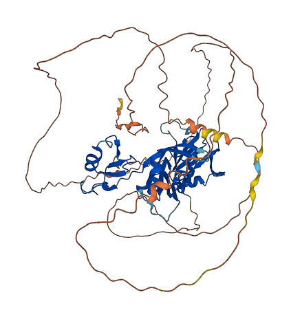 CPEB2 3D structure