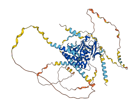 APBB1IP 3D structure