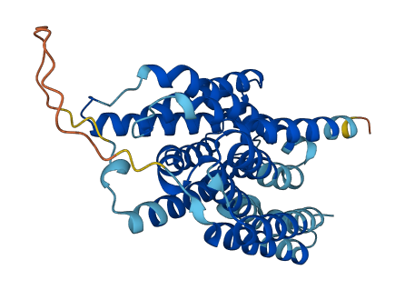 TMEM144 3D structure