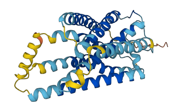GPR141 3D structure