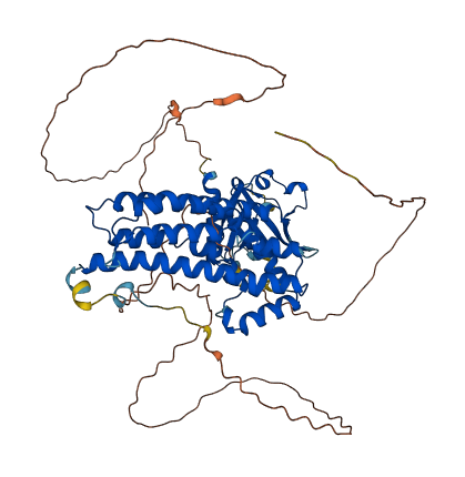 NET1 3D structure