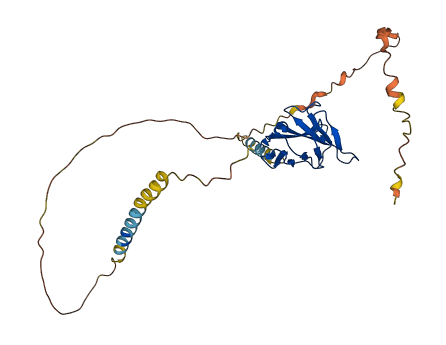 CEACAM19 3D structure