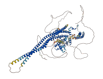 SRGAP1 3D structure