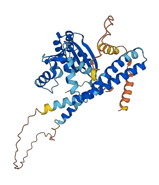 NECAB2 3D structure