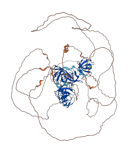 SH3RF1 3D structure