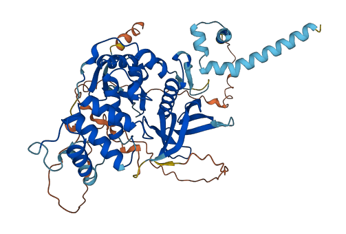 FRMD5 3D structure