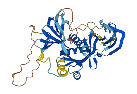 UBE3D 3D structure