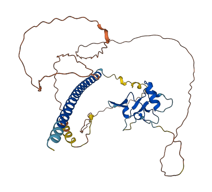 THAP5 3D structure