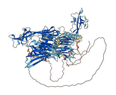 TECPR1 3D structure
