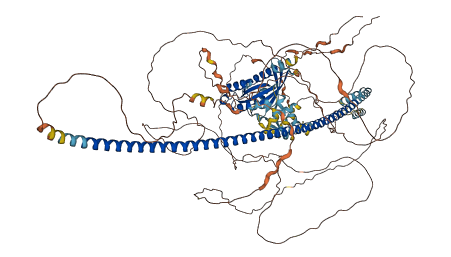 RAB44 3D structure