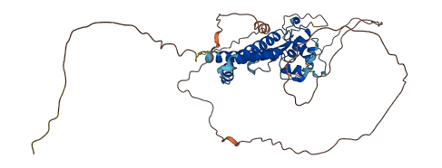 TFAP2D 3D structure