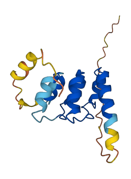 ANKRD37 3D structure