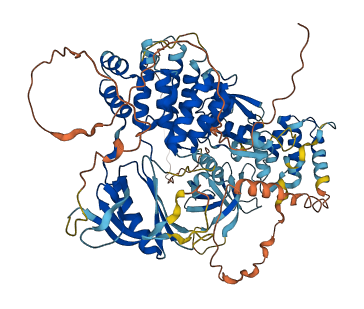 PLEKHH3 3D structure