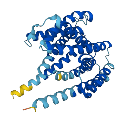 SLC35E3 3D structure