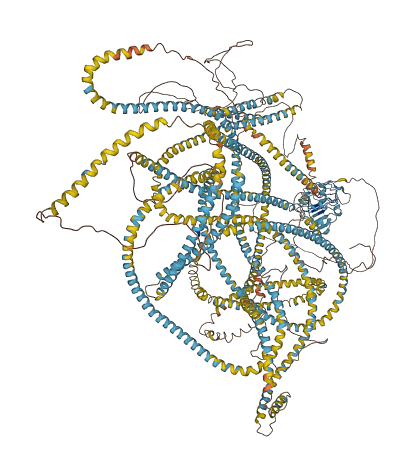 CNTRL 3D structure