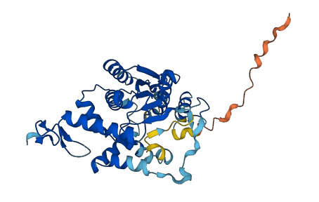 CTU1 3D structure
