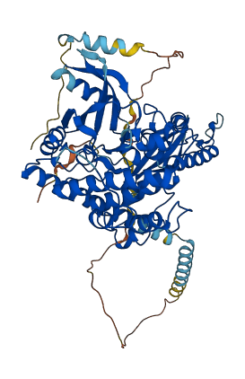 PXK 3D structure