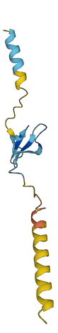 DEFB132 3D structure